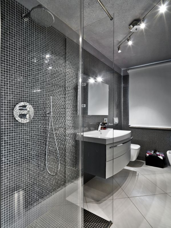 Contemporary Bathroom Feature